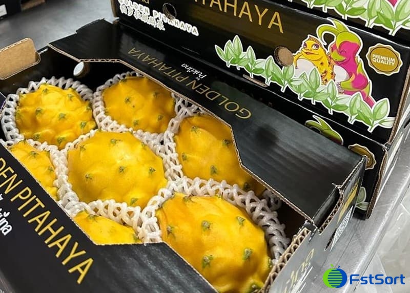 images/1692778373908Fruta del dragón vietnamita.jpg